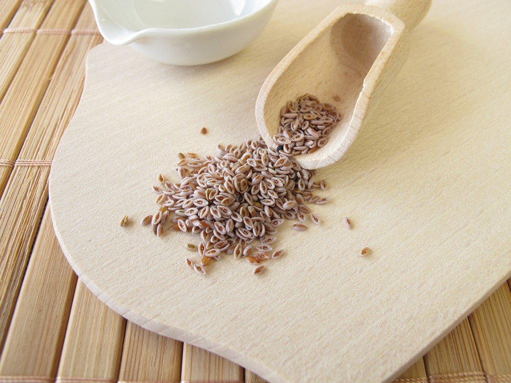 paraziți de placă mucoidă detox herbal tea skinny